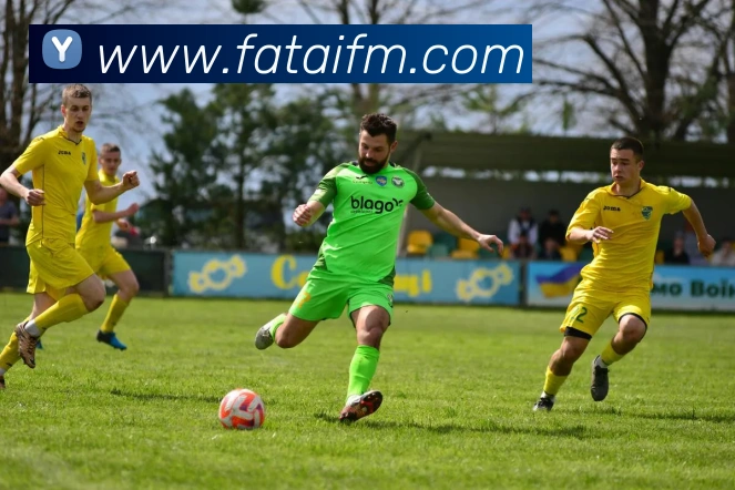 App Interface Preview